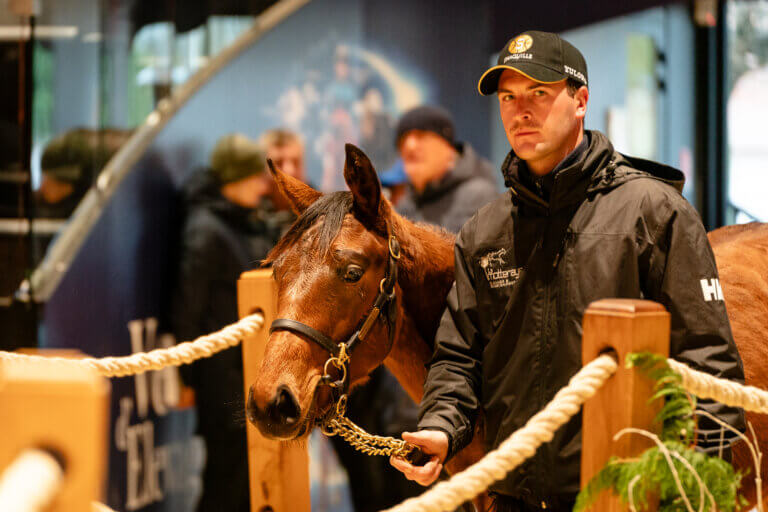 ArqanaElevage_2025_Lot269_DSC09103